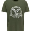 Bekleidung Carlo Colucci T-Shirt Caobelli In Grün Günstig Kaufen 16