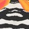 Bekleidung Carlo Colucci T-Shirt Ciriola In Schwarz Günstig Kaufen 20