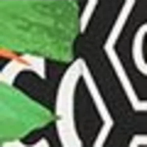 Bekleidung Carlo Colucci Top Cipressa In Schwarz Günstig Kaufen 16